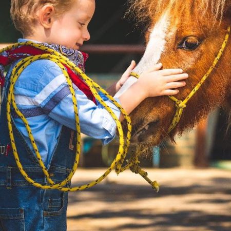 equoterapia 2025 (11)