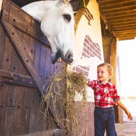 equoterapia 2025 (13)